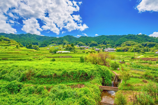 株式会社明日香企画