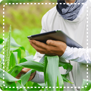 IT×農業による次世代型「農福連携」